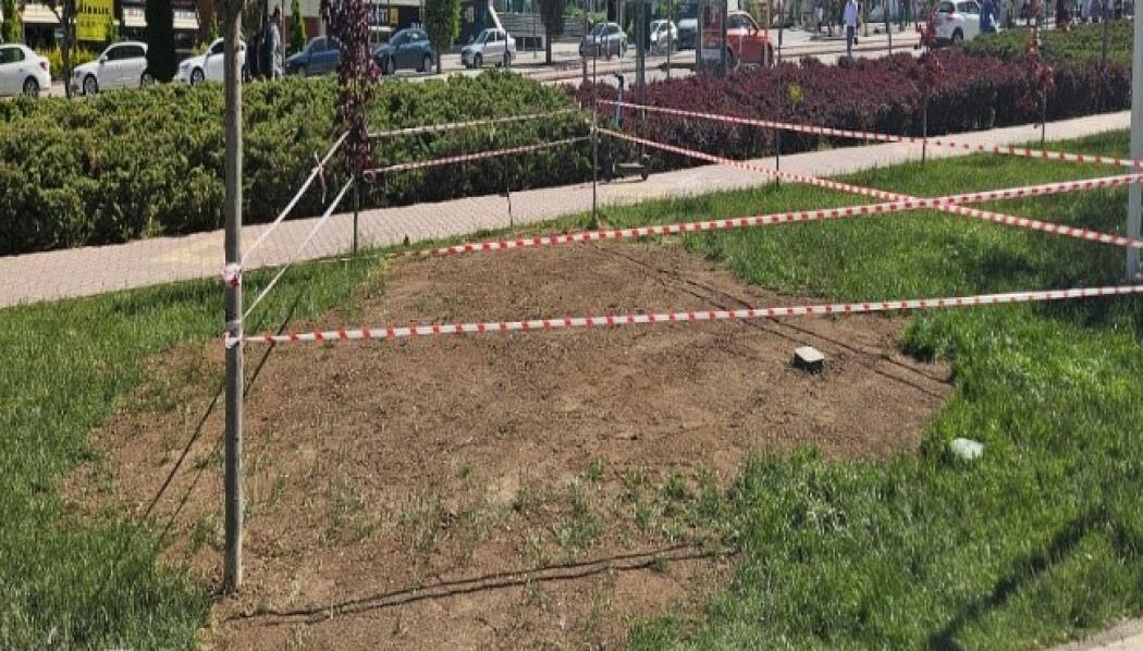 100. YIL PARKI PEYZAJ DÜZENLEME faaliyet gorseli