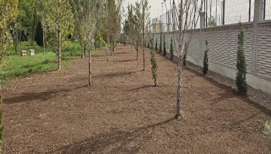 KONYA ÇİMENTO ÖNÜ PEYZAJ DÜZENLEME faaliyet gorseli