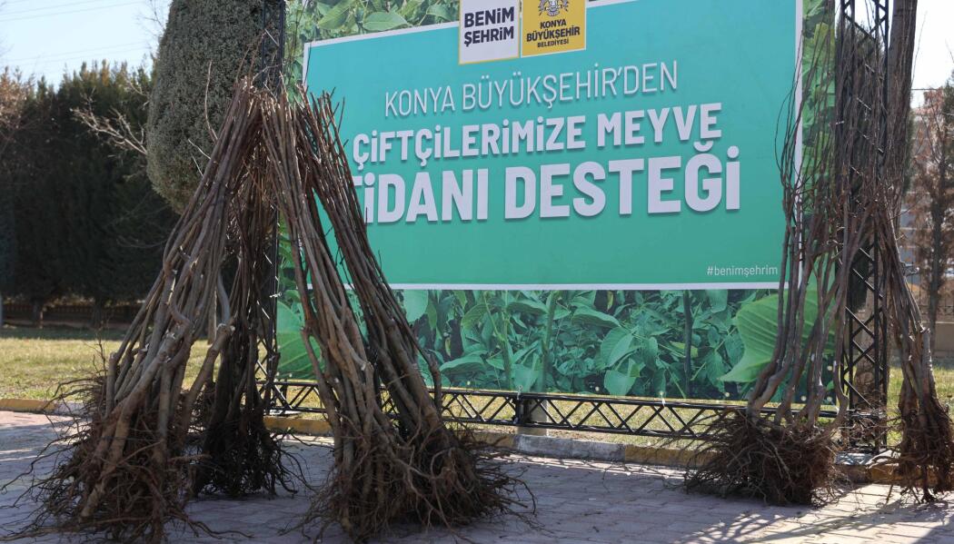 2026 FİDAN DESTEKLEMESİ faaliyet gorseli
