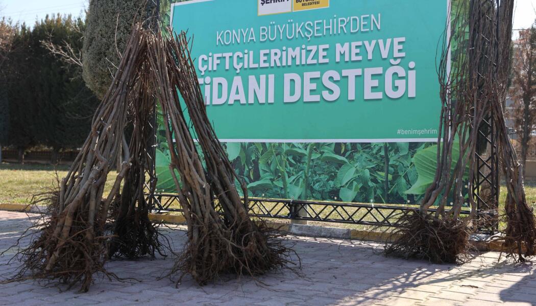 2026 FİDAN DESTEKLEMESİ faaliyet gorseli
