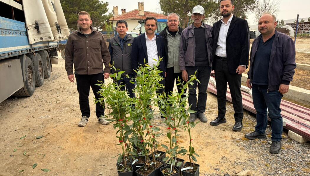 2026 FİDAN DESTEKLEMESİ faaliyet gorseli