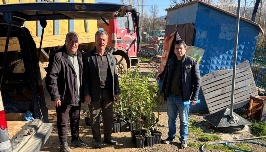 2026 FİDAN DESTEKLEMESİ faaliyet gorseli