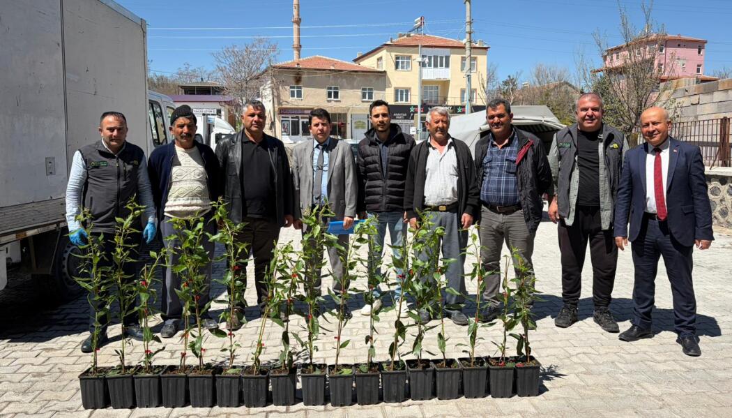 2026 FİDAN DESTEKLEMESİ faaliyet gorseli