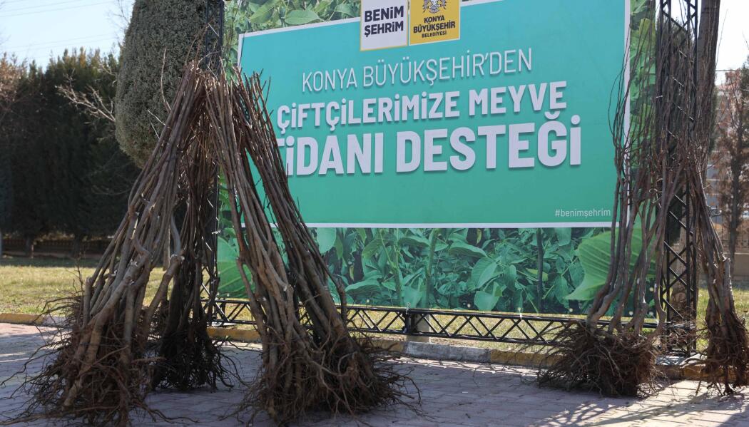 2026 FİDAN DESTEKLEMESİ faaliyet gorseli