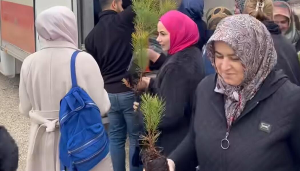 KOMEK HATIRA ORMANI FİDAN DİKİMİ faaliyet gorseli