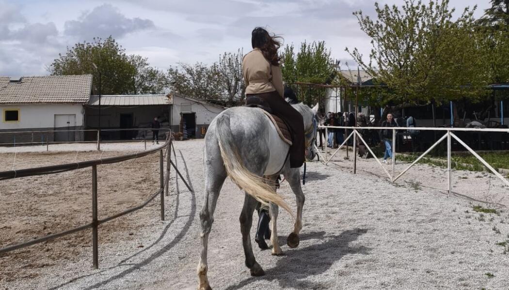 AT BİNME ETKİNLİĞİ faaliyet gorseli