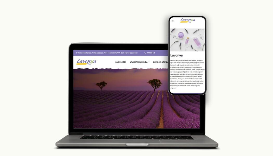 LAVONYA WEB UYGULAMASI (LAVONYA.COM.TR) faaliyet gorseli
