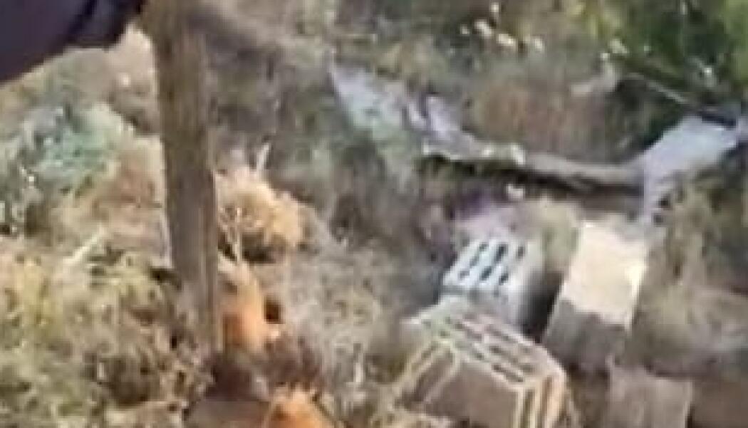 ARAMA-KURTARMA MÜDAHALE ÇALIŞMALARI faaliyet gorseli