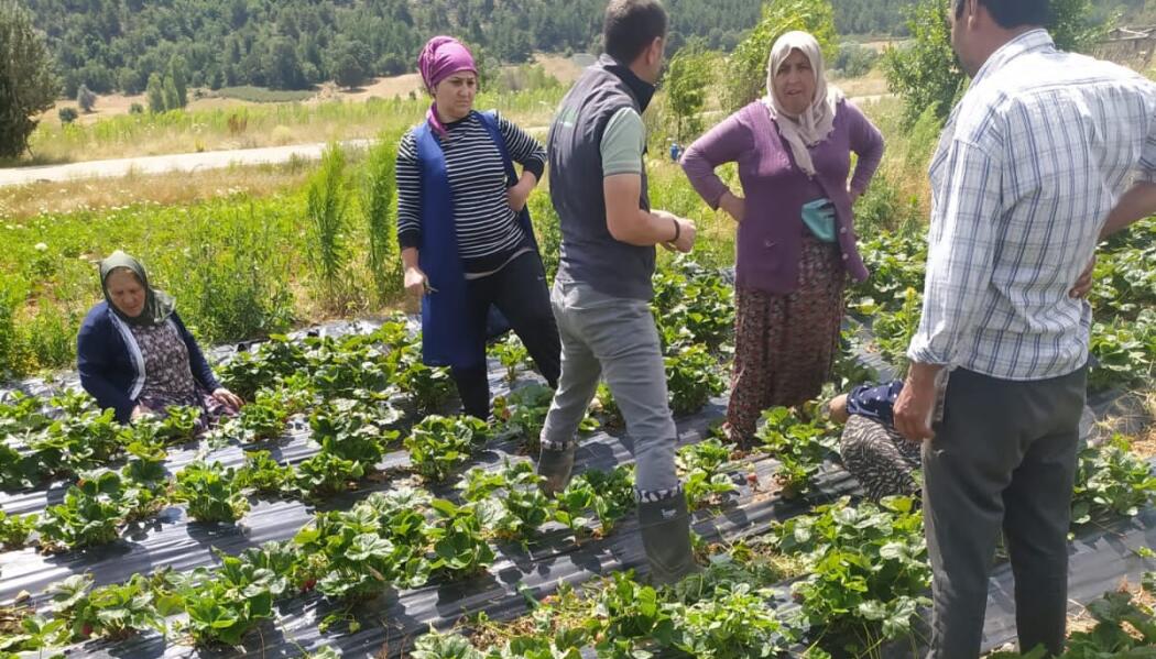2026 YILI TARIMSAL EĞİTİM VE PROJELER faaliyet gorseli