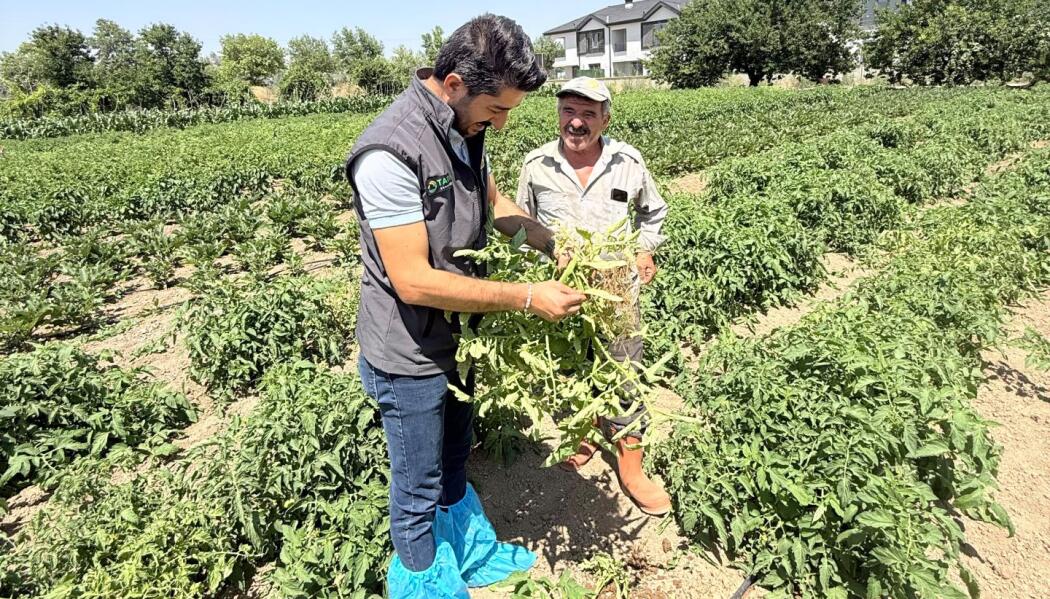 2026 TARIMSAL EĞİTİM VE PROJELER faaliyet gorseli