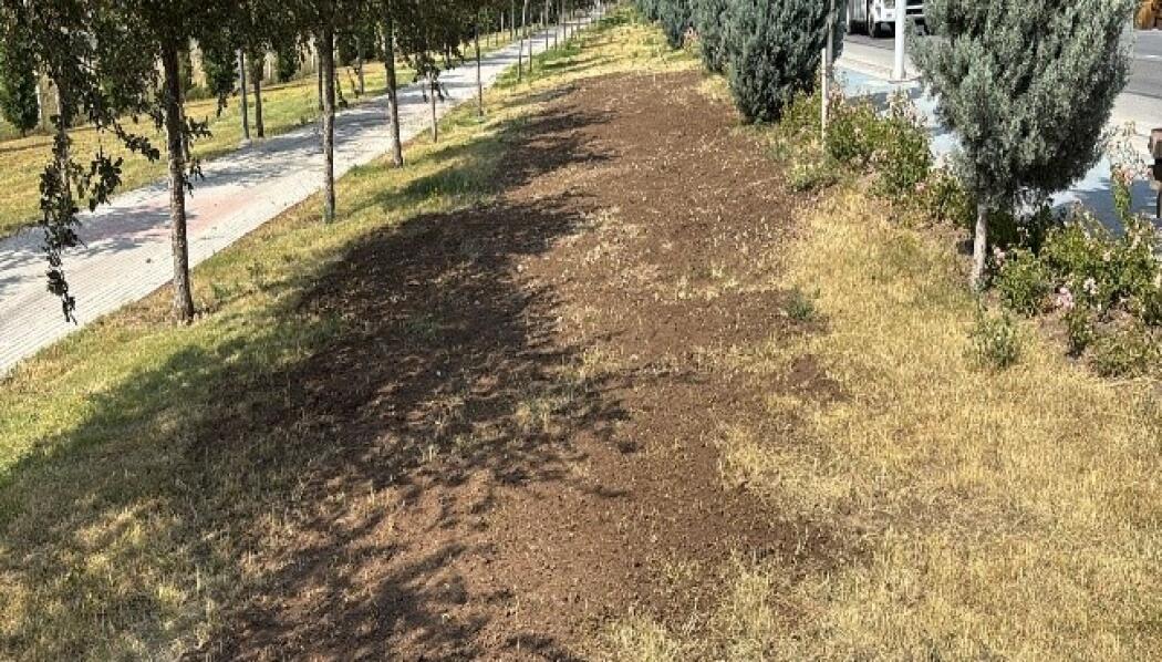 TÜRK YILDIZLARI PARKI PEYZAJ DÜZENLEME ÇALIŞMASI faaliyet gorseli
