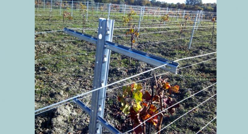 AYASLAR MAHALLESİ YÜKSEK SİSTEM BAĞ APARATI DESTEĞİ faaliyet gorseli