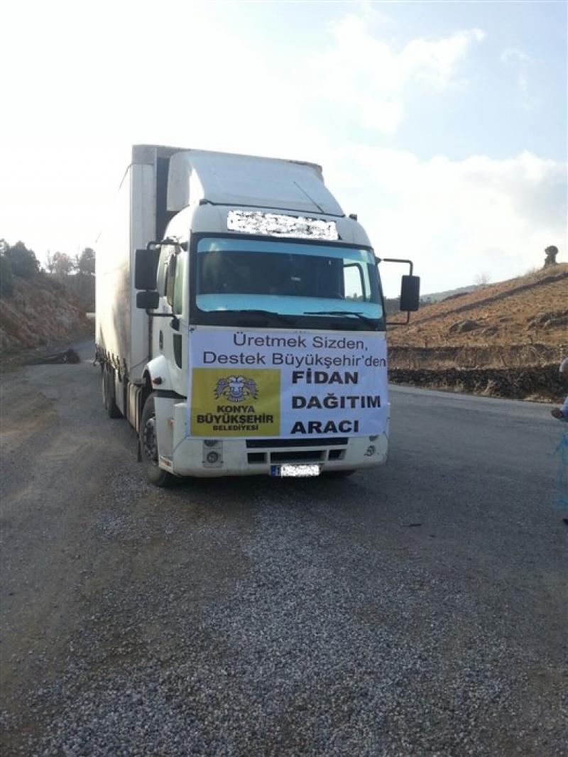 ALTINÖZ MAHALLESİ VİŞNE FİDANI DESTEĞİ faaliyet gorseli
