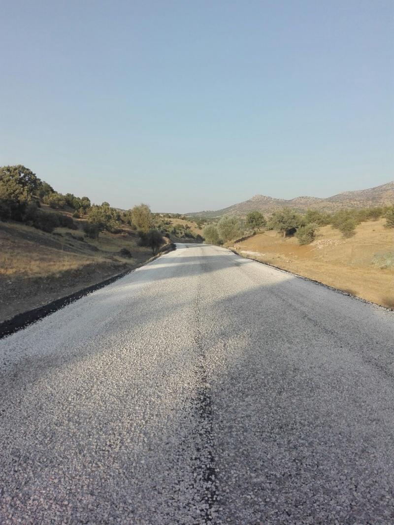 ÖRENBOYALI MAHALLE YOLU SATHİ KAPLAMA ÇALIŞMASI faaliyet gorseli