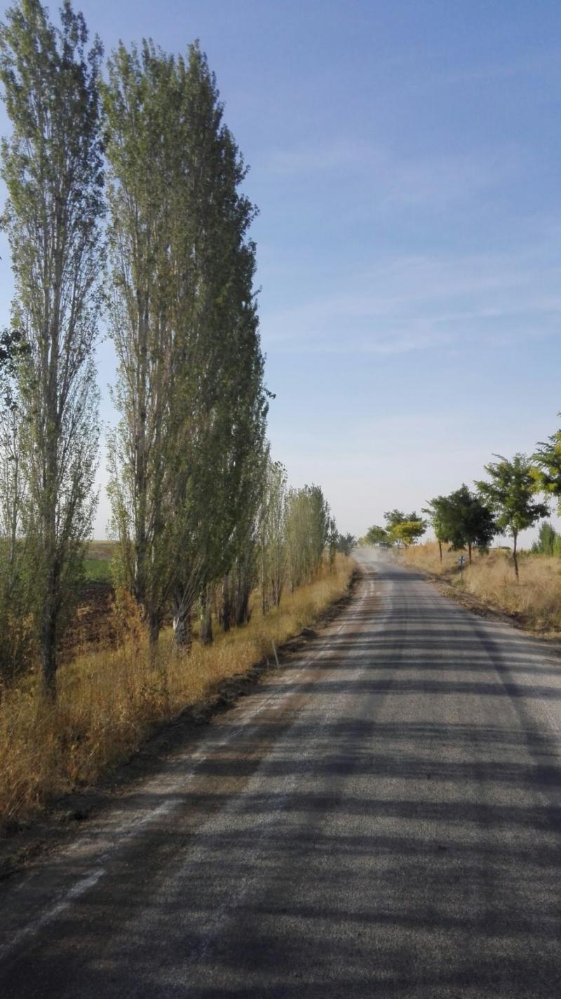 SAKYATAN-ŞATIR ARASI MAHALLE YOLU BANKET BAKIMI faaliyet gorseli