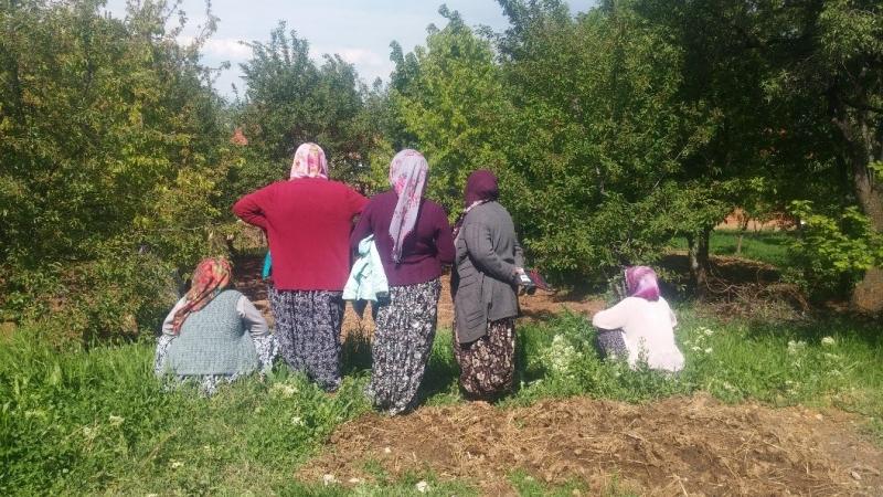 KAMIŞLIKUYU MAHALLESİNDE ÇİFTÇİ EĞİTİMİ faaliyet gorseli