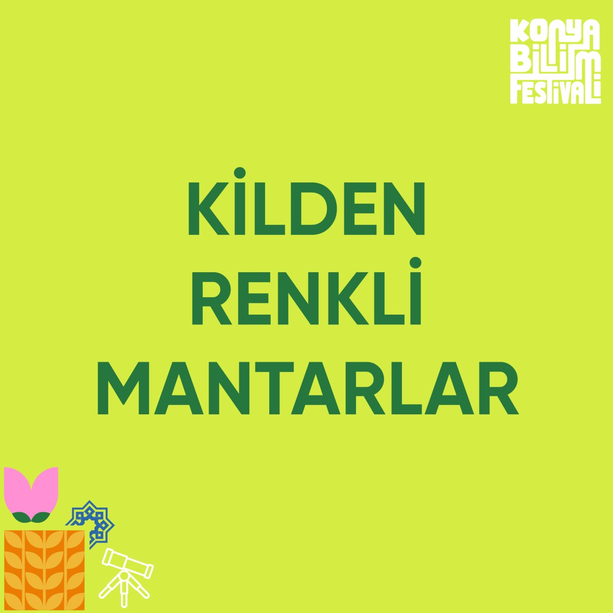 Kilden Renkli Mantarlar