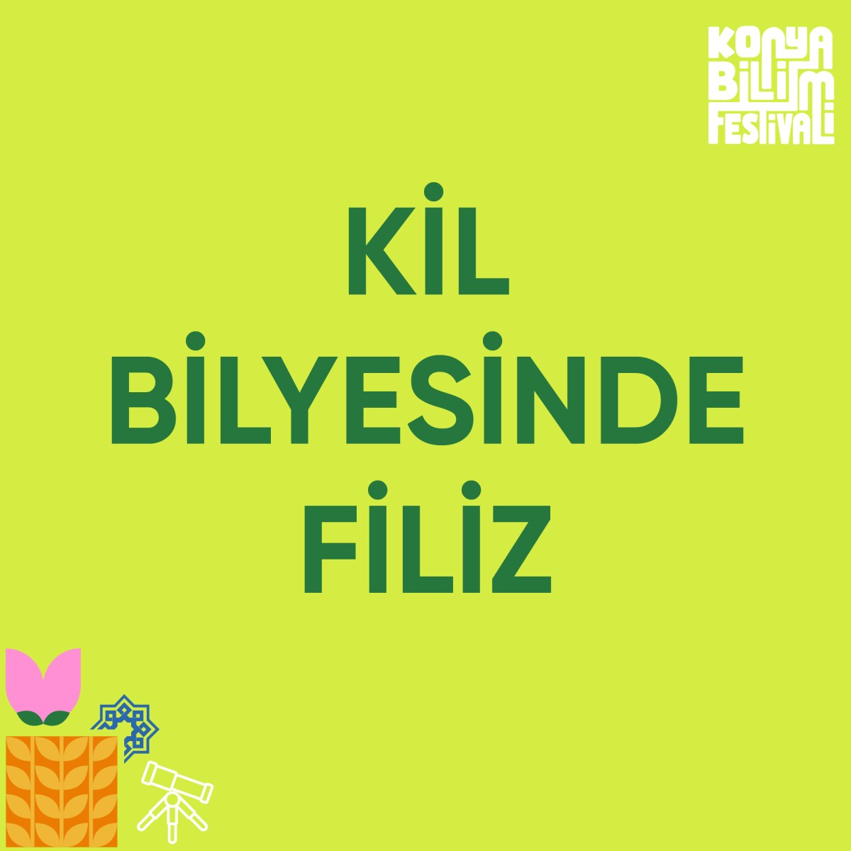 Kil Bilyesinde Filiz