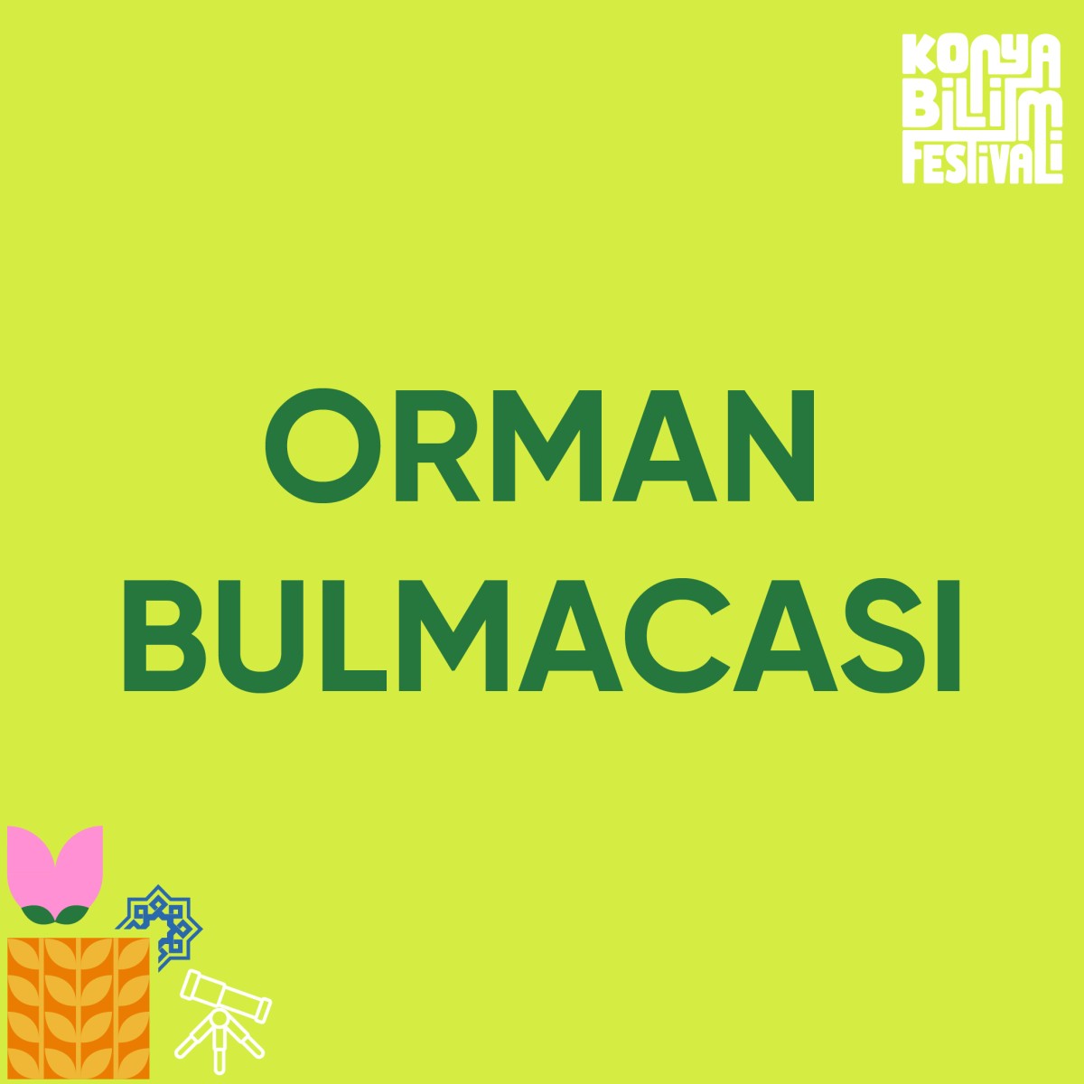 Orman Bulmacası