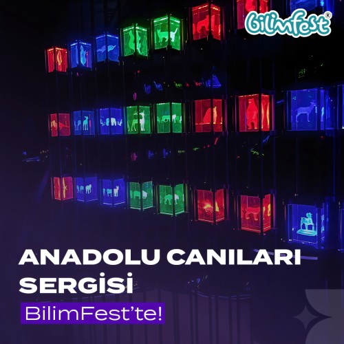 Anadolu Canlıları Sergisi