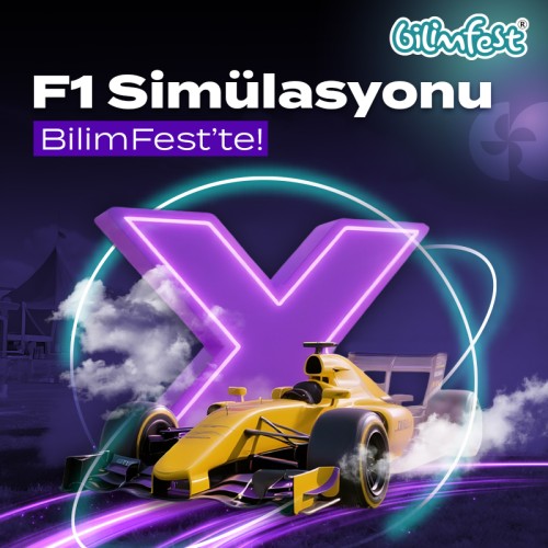 F1 Simülasyon