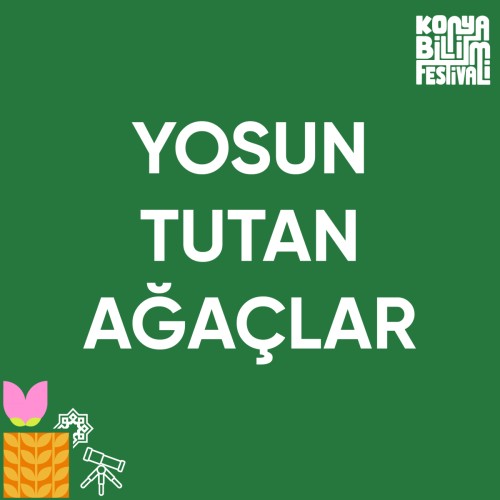 Yosun Tutan Ağaçlar