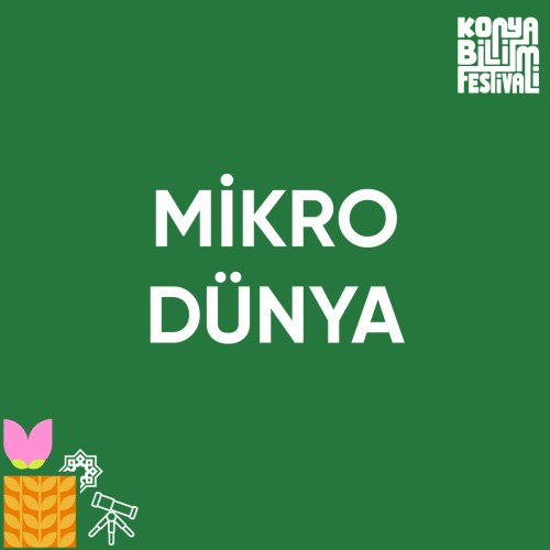 Mikro Dünya