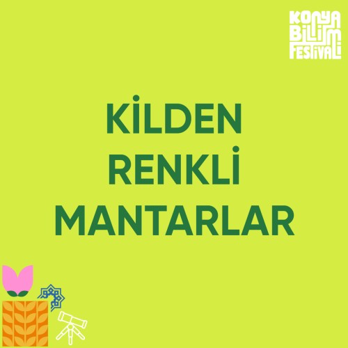 Kilden Renkli Mantarlar