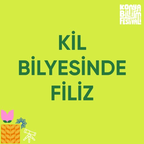 Kil Bilyesinde Filiz
