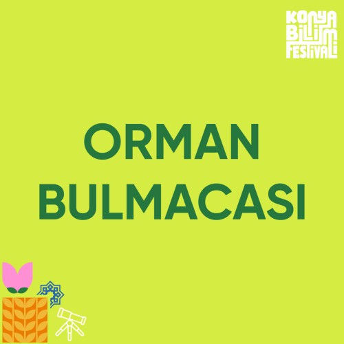 Orman Bulmacası
