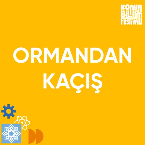 Ormandan Kaçış